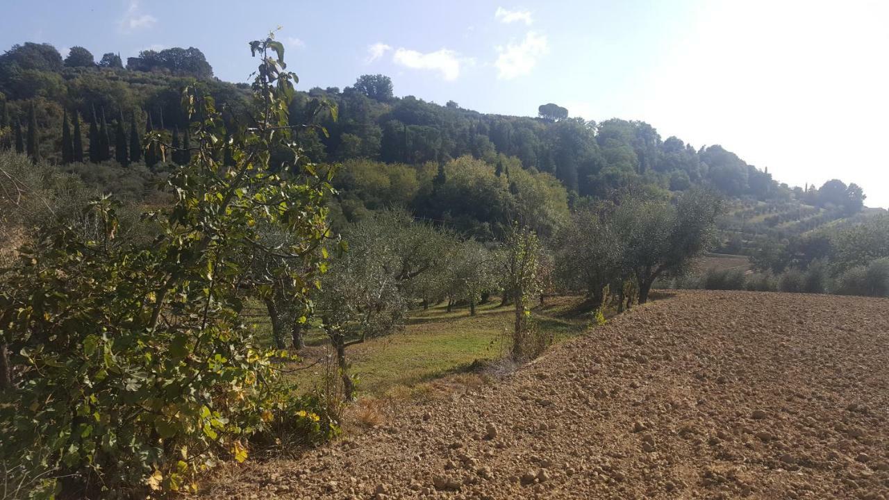 Montevenere 83 Villa Chiusi Exterior photo